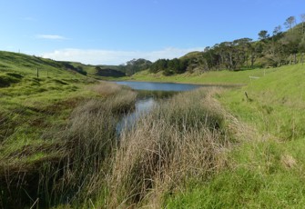 Lake Wainui