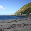 Owhiro Bay