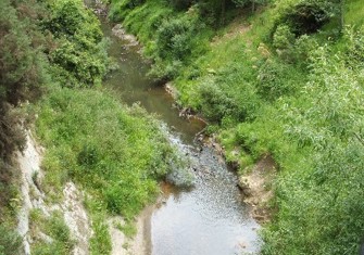 TNH000200