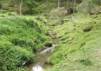 tnh0000090.jpg (1)