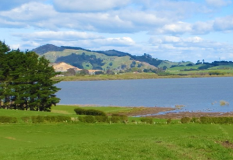 Waahi