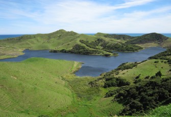Harihari