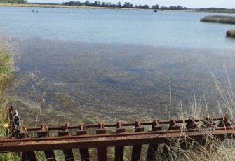 Coopers Lagoon