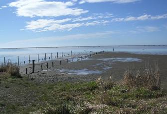 Wainono Lagoon Dry