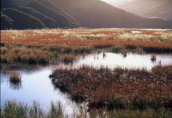 Lake Kohangatera 2